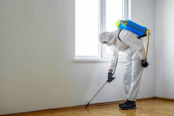Best Affordable Pest Control Services  in Fort Gibson, OK