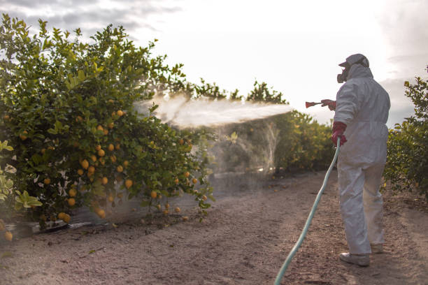 Best Wasp Removal Services  in Fort Gibson, OK
