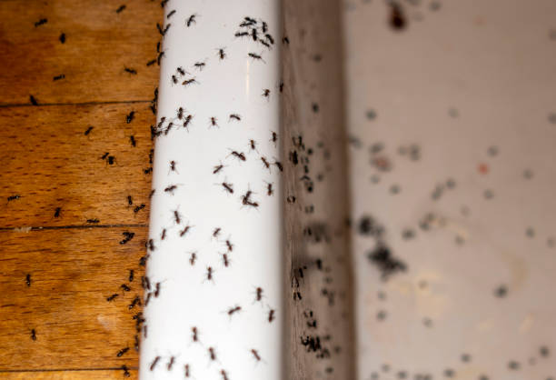 Best Pest Control Cost  in Fort Gibson, OK