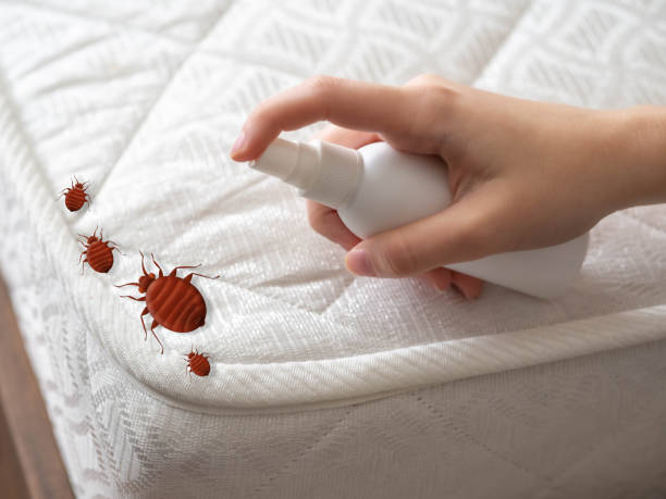 Insect Control in Fort Gibson, OK