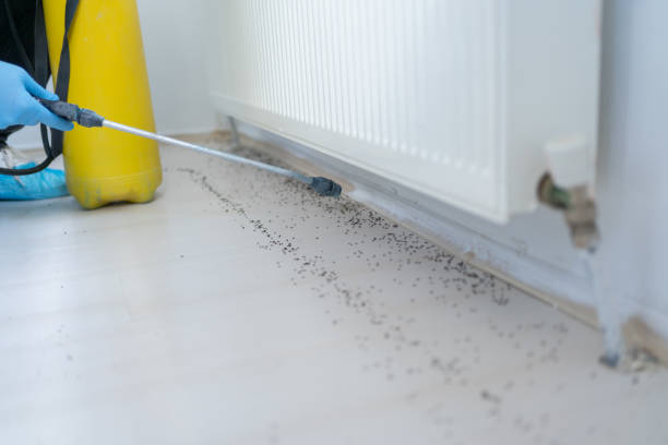 Reliable Fort Gibson, OK Pest Control Solutions