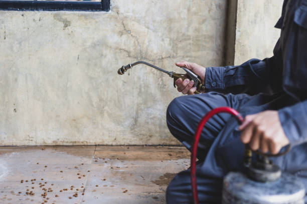Best Flea Control Services  in Fort Gibson, OK